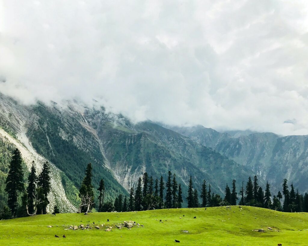 top places to visit in kashmir