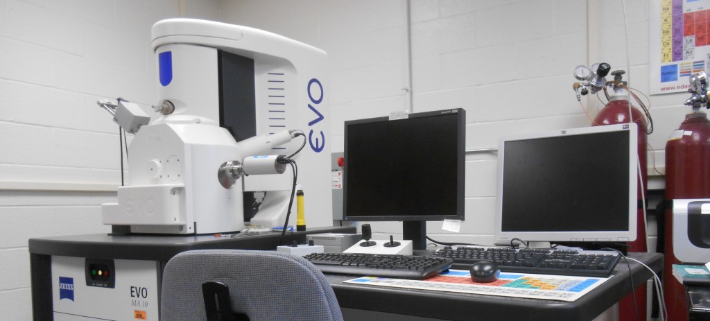 Factors to Consider When Buying Electron Microscope