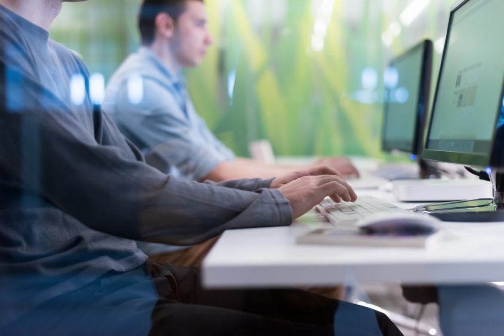 a PMP professional working on a IT project